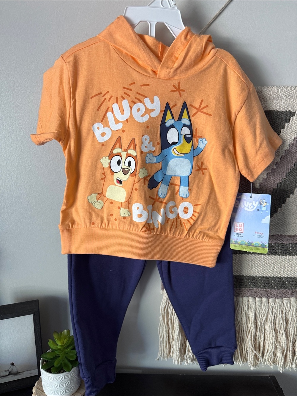 Bluey & Bingo Orange Hoodie Top and pant